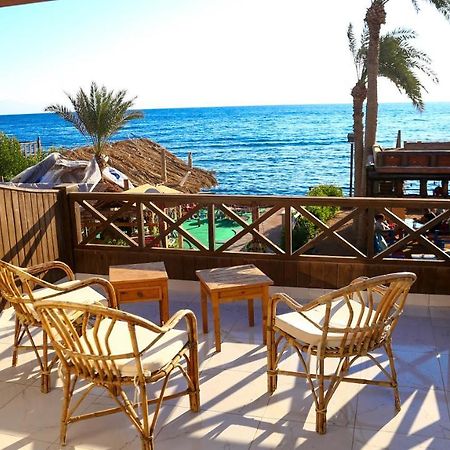 Penguin Village Dahab Exterior foto