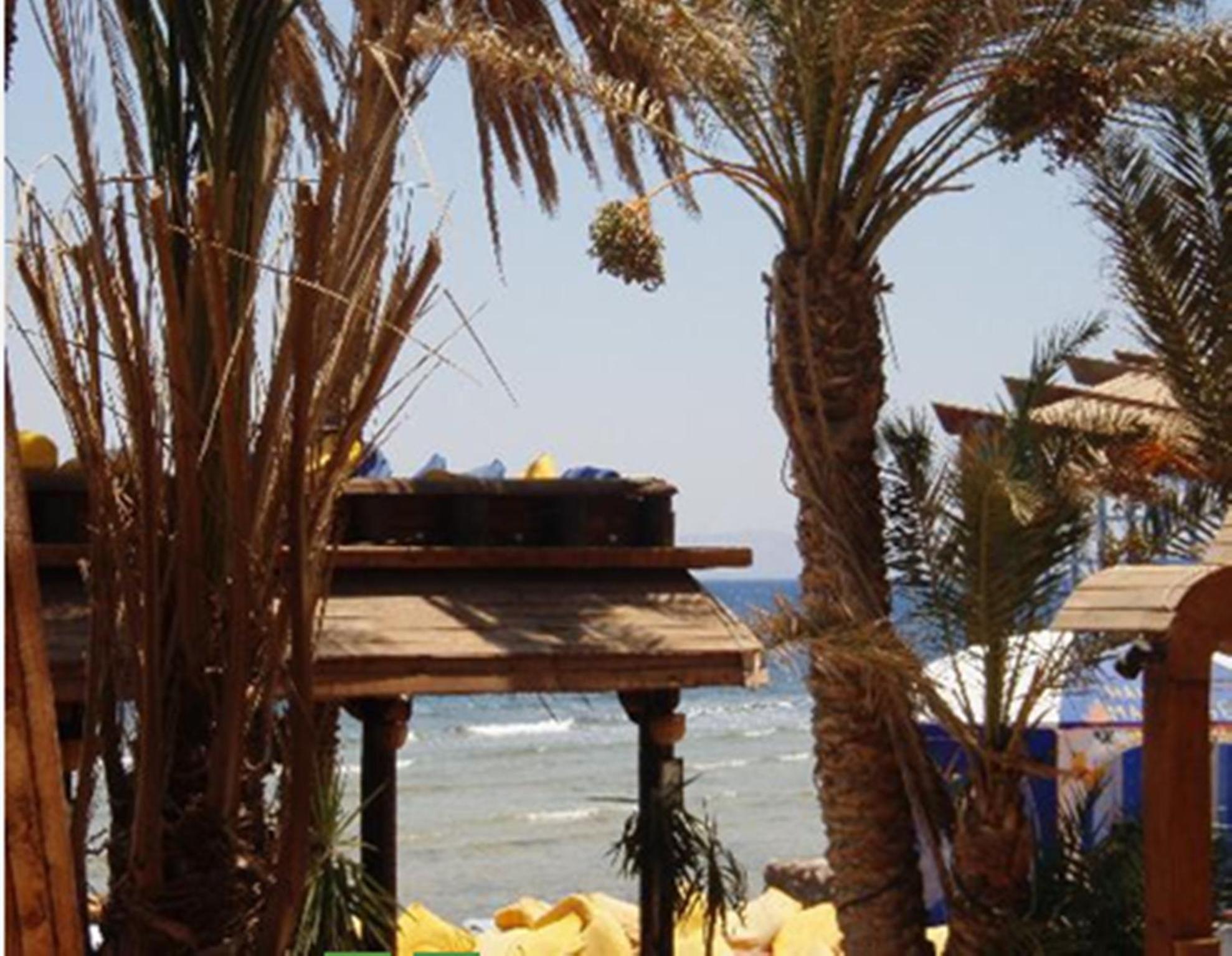 Penguin Village Dahab Exterior foto