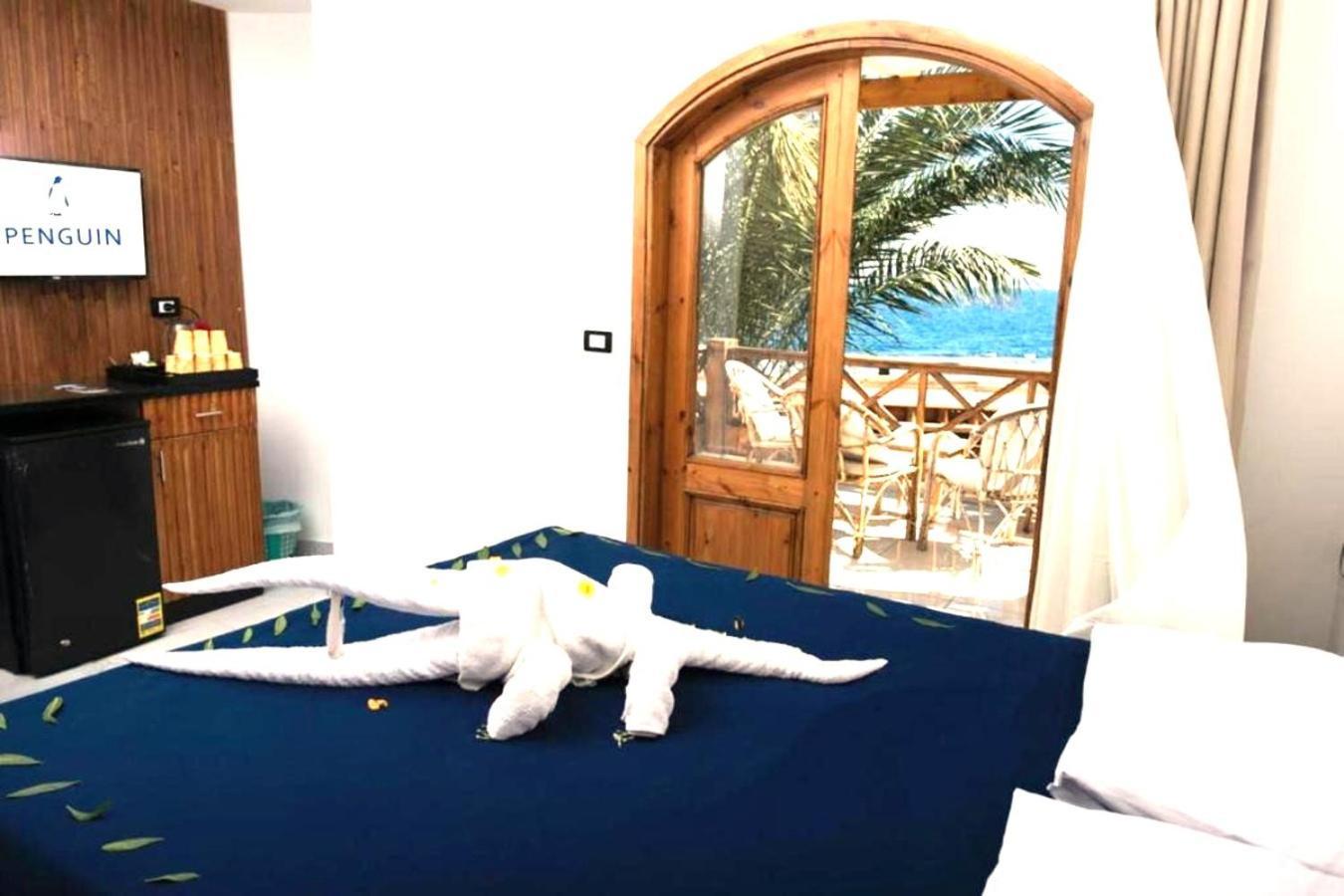Penguin Village Dahab Exterior foto