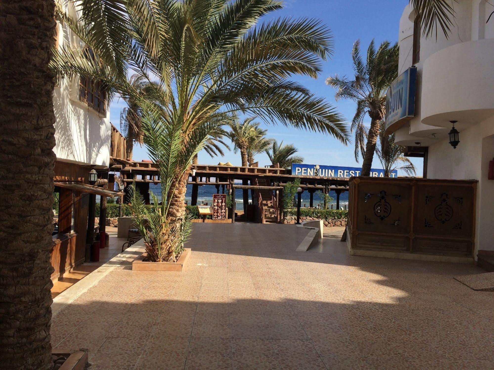 Penguin Village Dahab Exterior foto