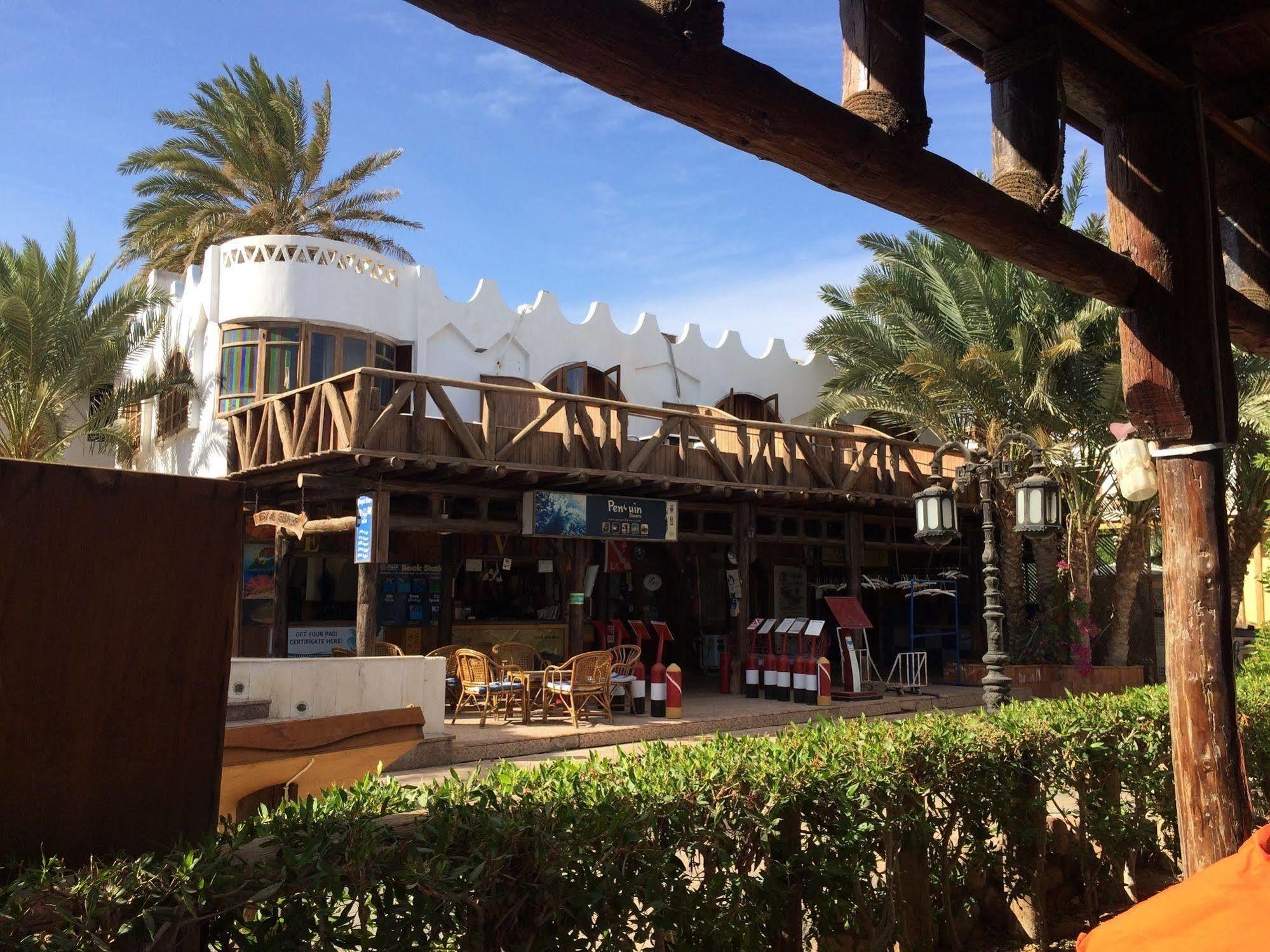 Penguin Village Dahab Exterior foto